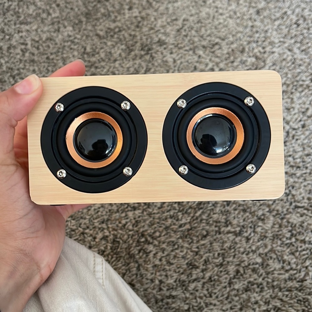 Small Aritzia Speaker